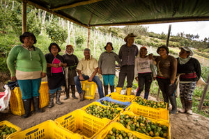 2GO! ® Organic Dried Golden Berries